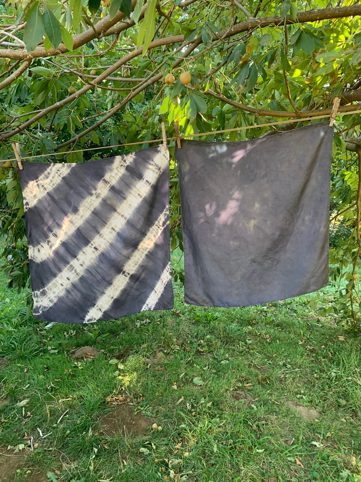 Dark Shadows of Fall | Gray and Black Natural Dye  with Janessa Bautista + Susan Wiencke