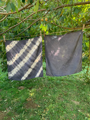 Dark Shadows of Fall | Gray and Black Natural Dye  with Janessa Bautista + Susan Wiencke