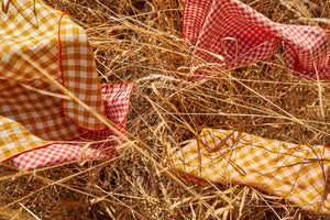 PICNIC NAPKINS