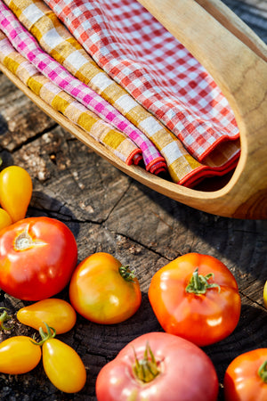 PICNIC NAPKINS